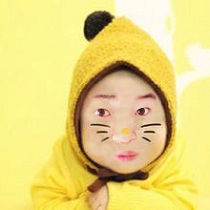苏何菲