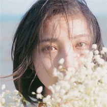 杜蒙蒙