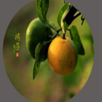 魏秀