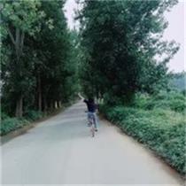 赵晓想